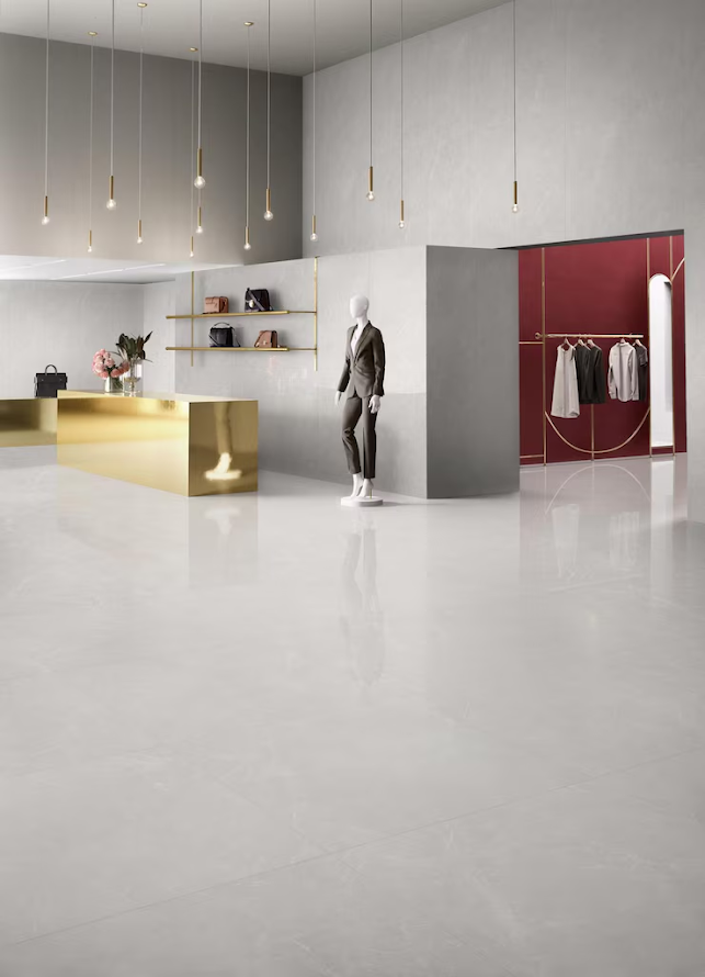 Minimalist Aesthetics with High-End Elements