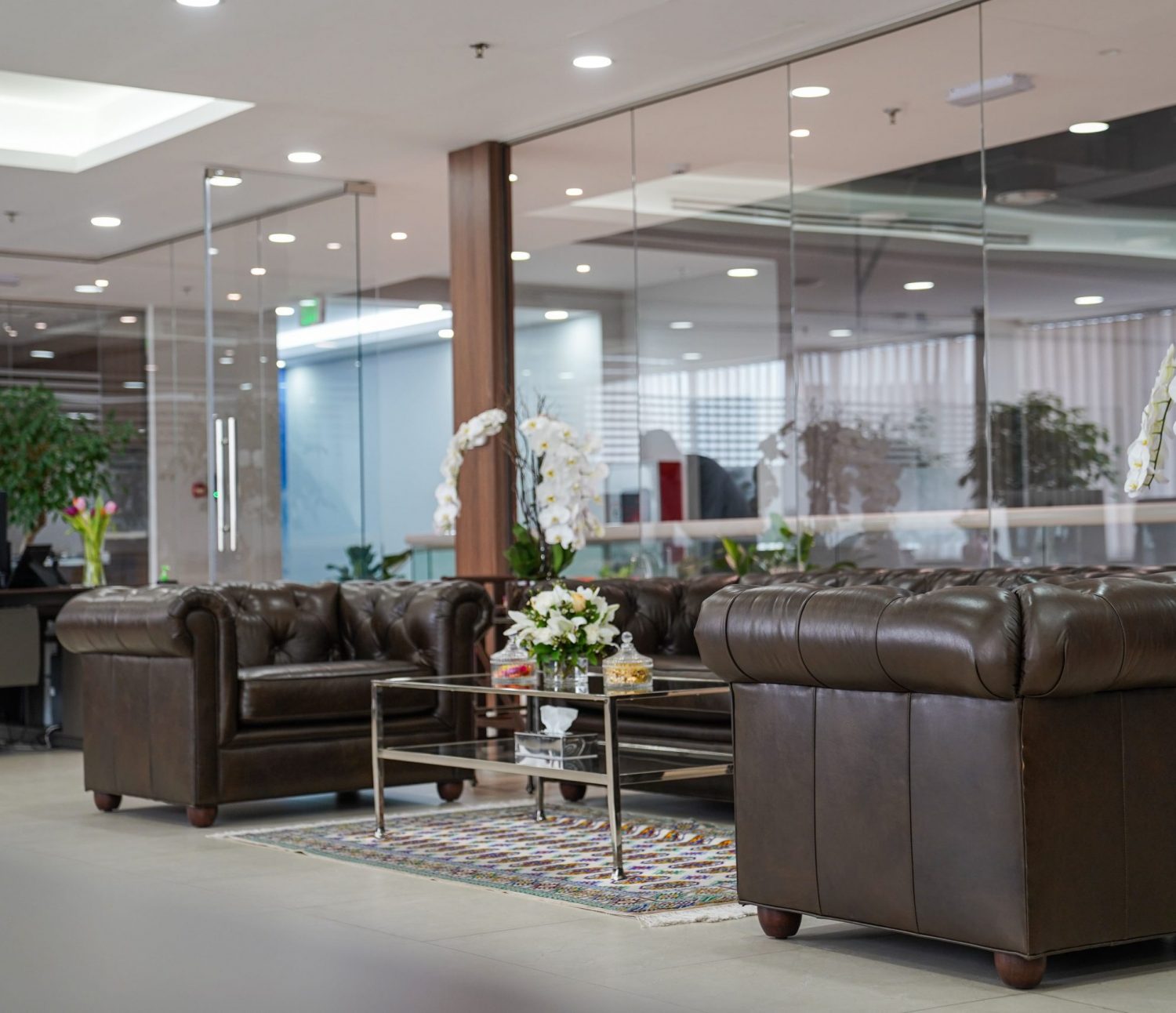 DSC02795-min DSC02795-min